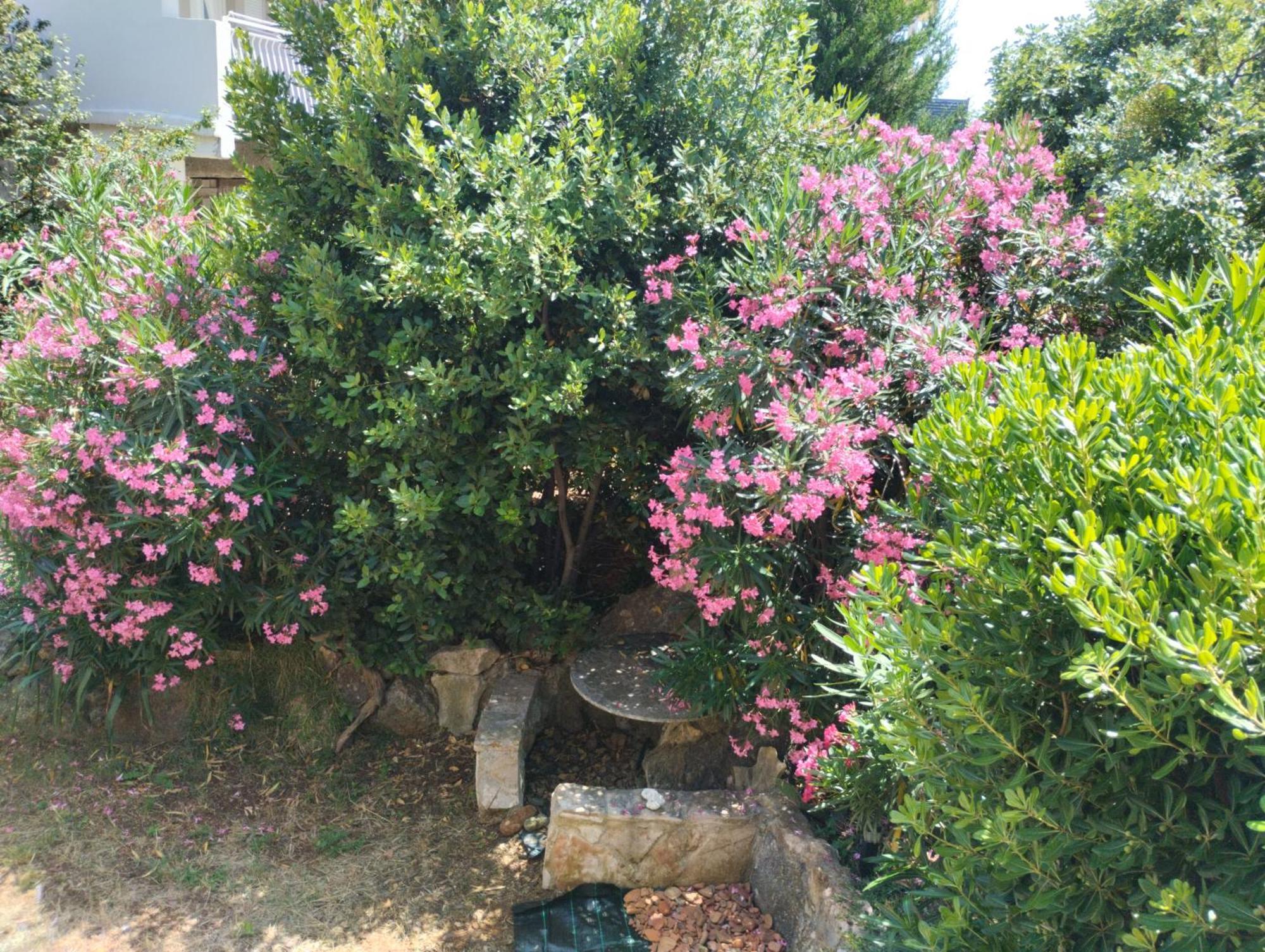 Appartamento Miran Ivanica Esterno foto